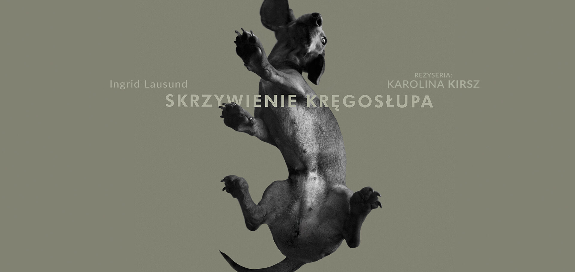 Premiera ,,Skrzywienia kręgosłupa”!