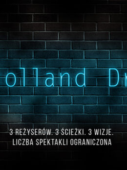 Plakat spektaklu: Mulholland Drive