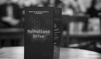 ,,Mulholland Drive” – po spotkaniu z twórcami