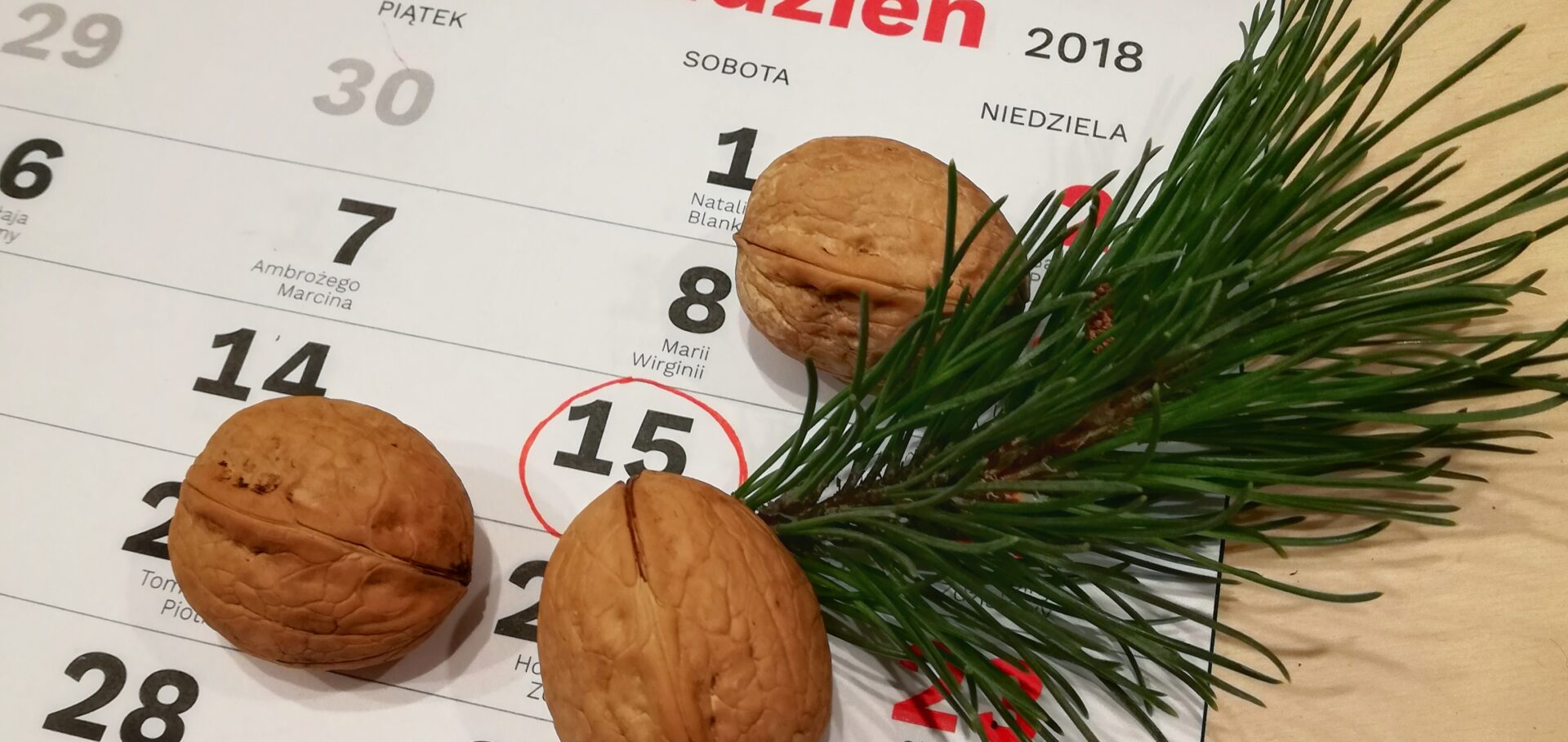 Repertuar na grudzień już dostępny!