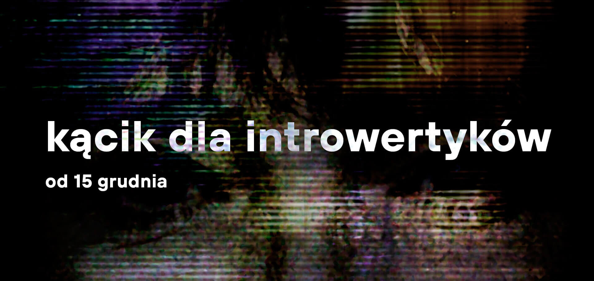 Kącik dla introwertyków